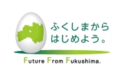 福島第一原子力発電所事故後の放射線モニタリング、除染、廃棄物管理の分野における福島県とIAEAとの協力（福島県提案プロジェクト）中間報告（2013年－2015年）